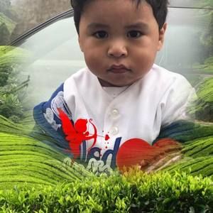 Meet your Posher, Alexa